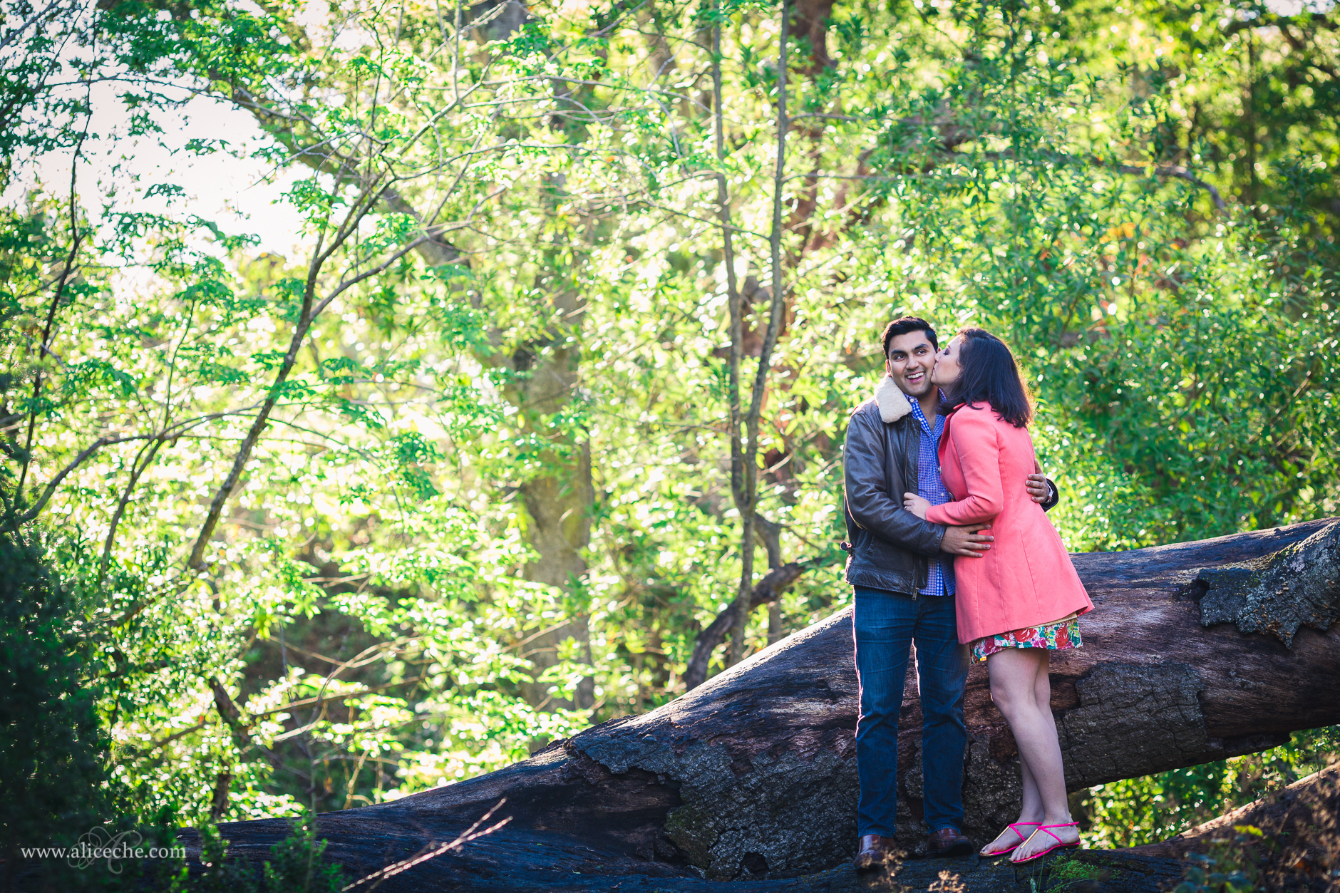 windy-hill-engagement-palo-alto-bay-area-girl-kissing-fiance-on-cheek-standing-on-a-tree
