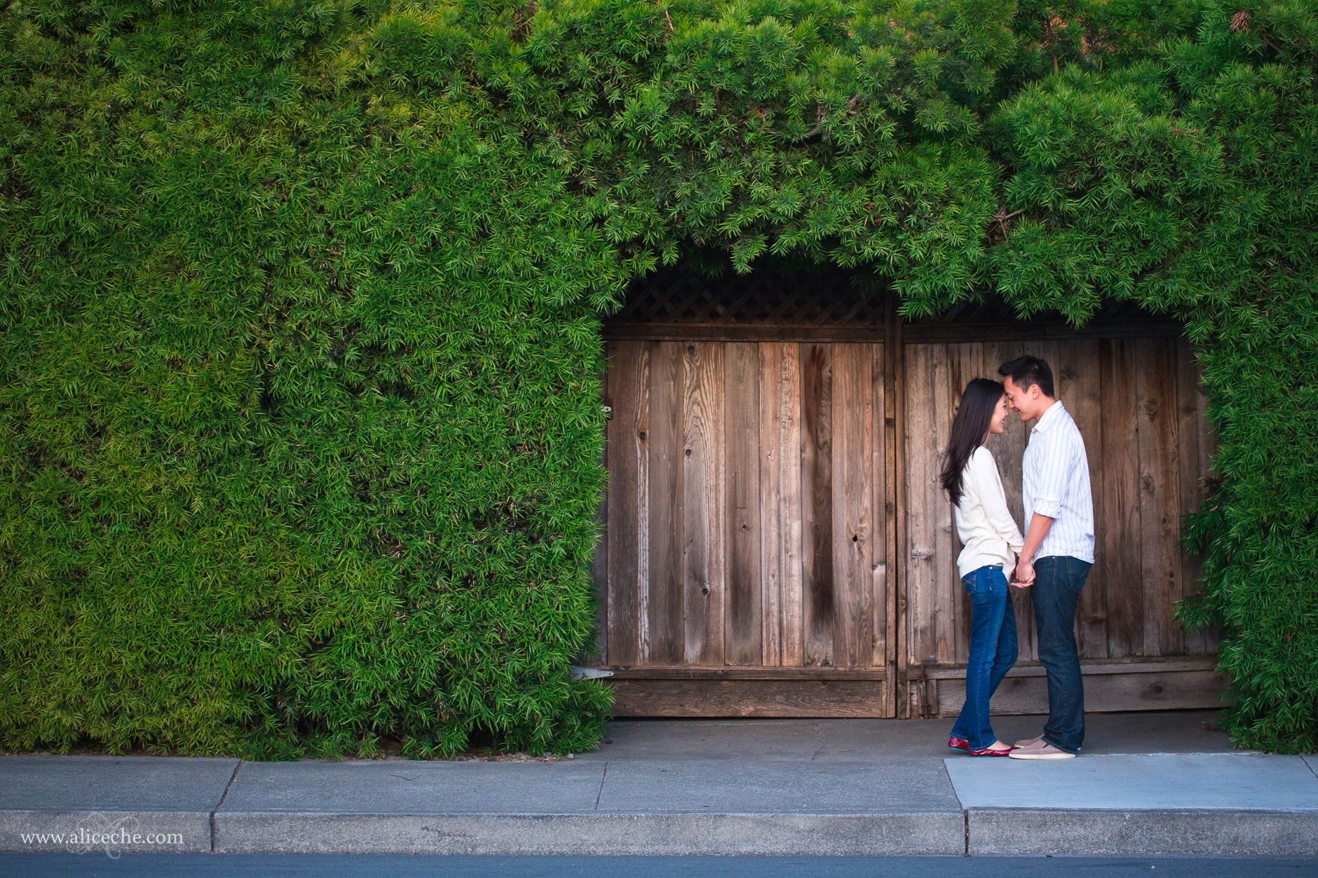 Union City engagement green-frame-composition-san-francisco-bay-area-couple-holding-hands
