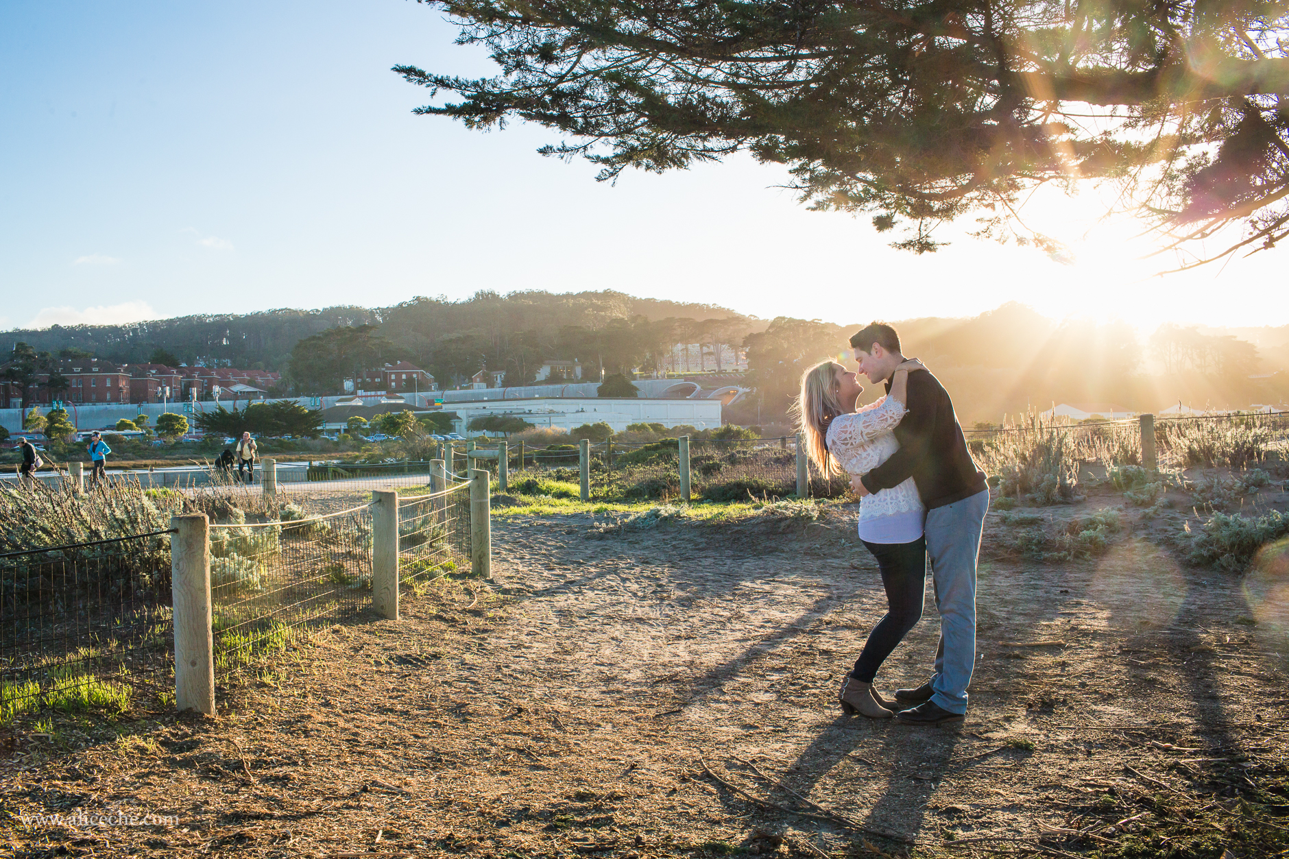 alice-che-photography-san-francisco-engagement-shoot-crissy-field-beautiful-light