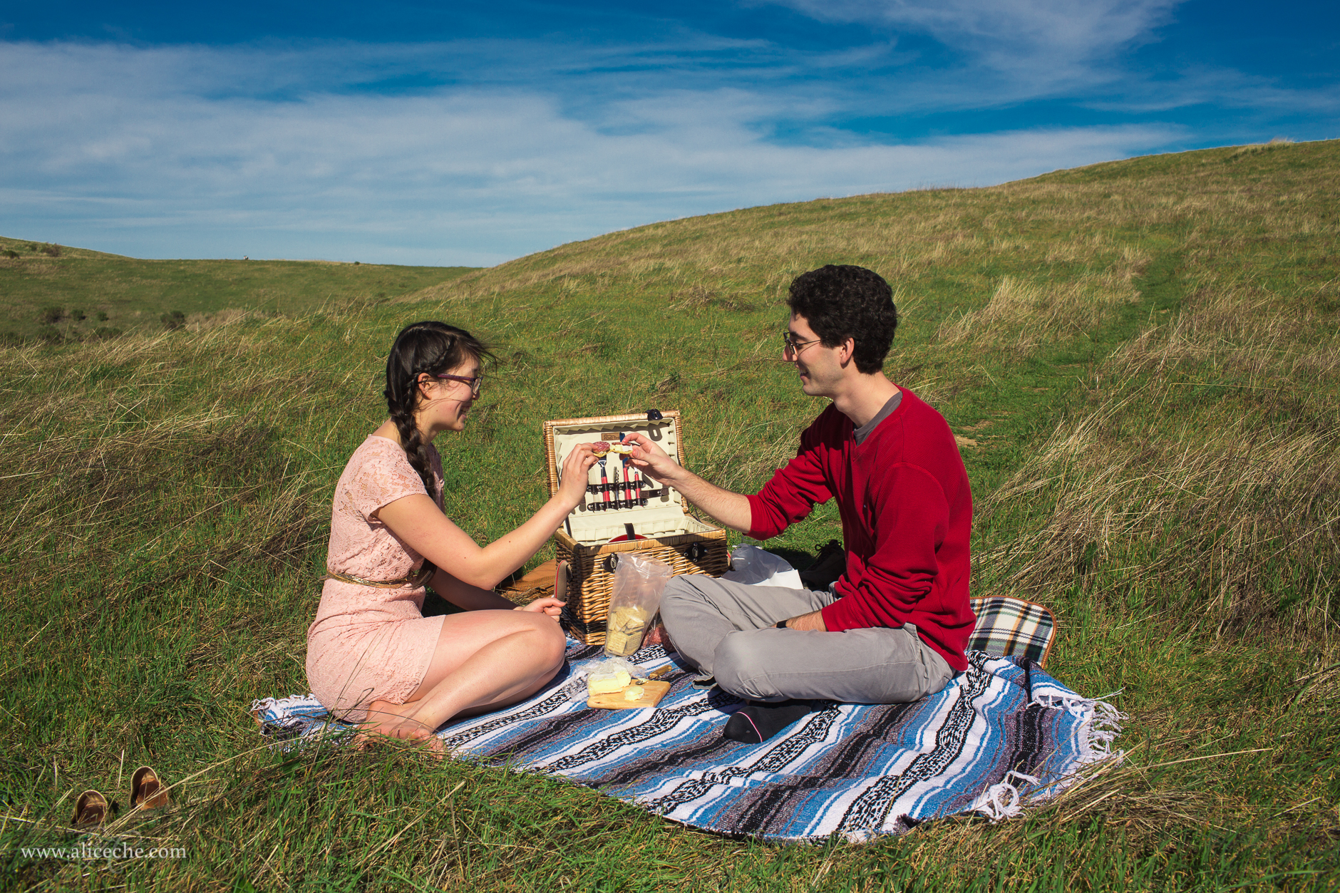 alice-che-photography-russian-ridge-picnic-bay-area-engagement-photographer-cheers-with-cheese