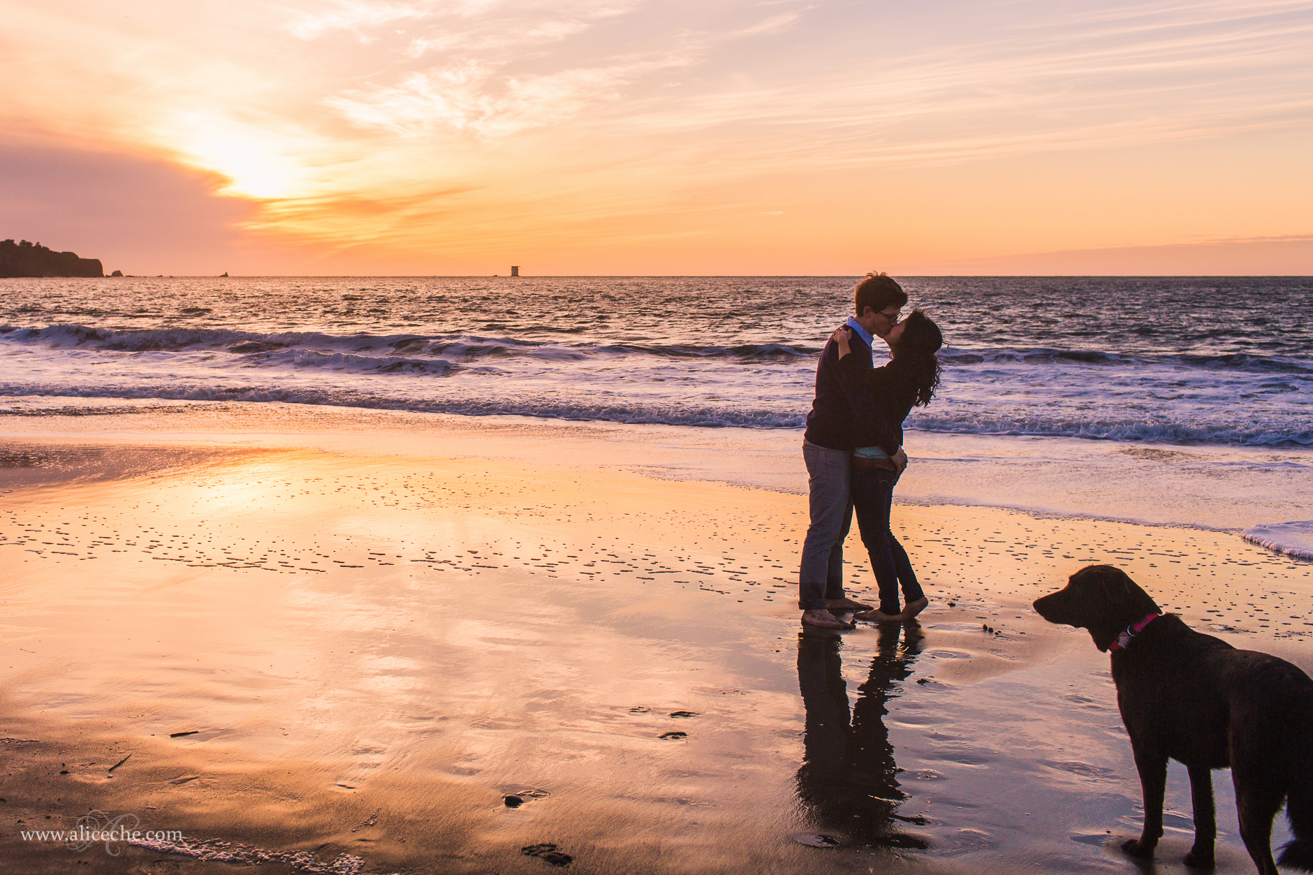 alice-che-photography-couple-on-baker-beach-with-dog-at-sunset-san-francisco-engagement