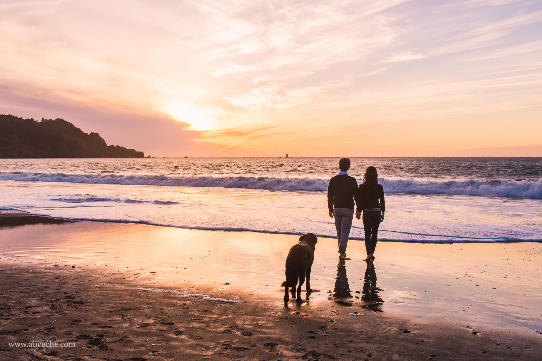 alice-che-photography-couple-on-beach-with-dog-at-sunset-san-francisco-engagement