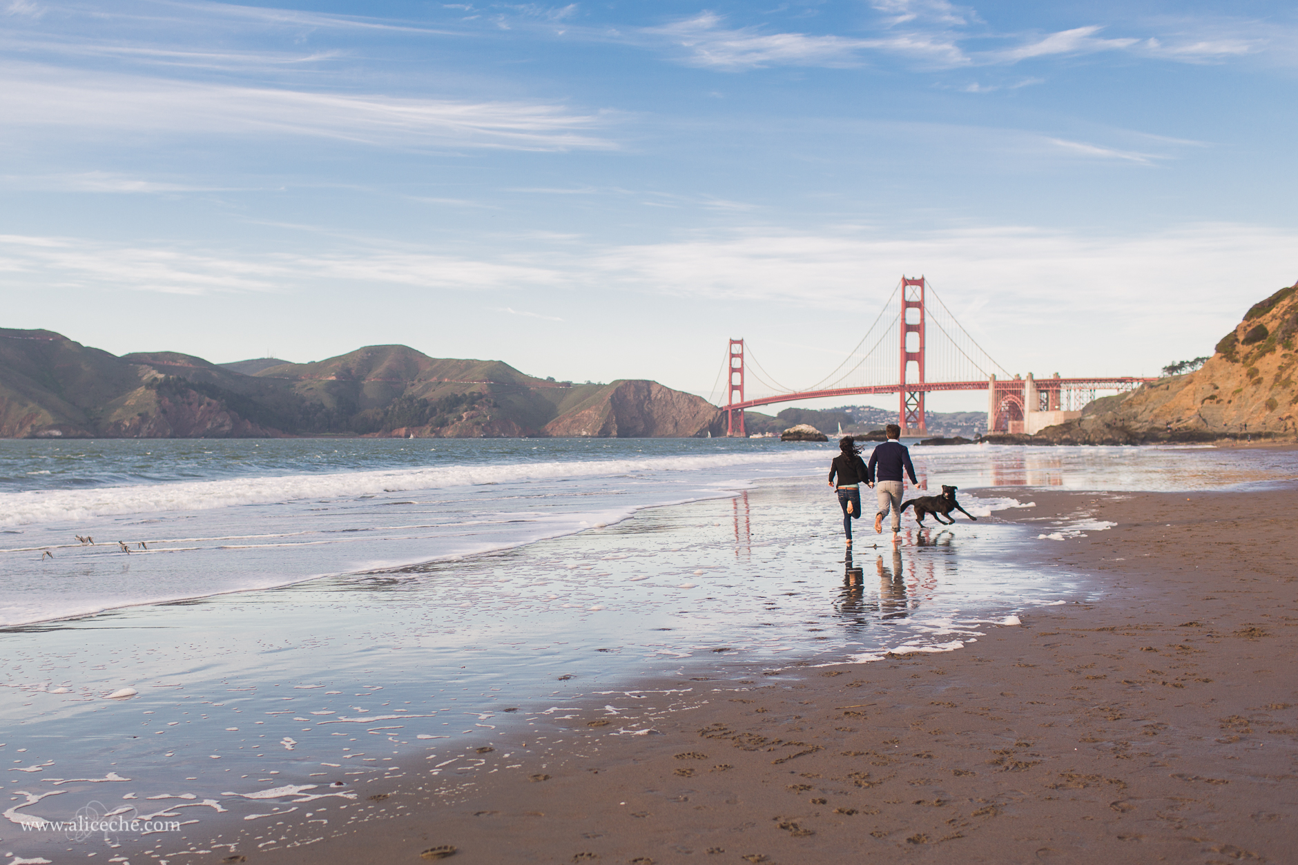 alice-che-photography-couple-running-on-baker-beach-with-dog-san-francisco-engagement-golden-gate-bridge