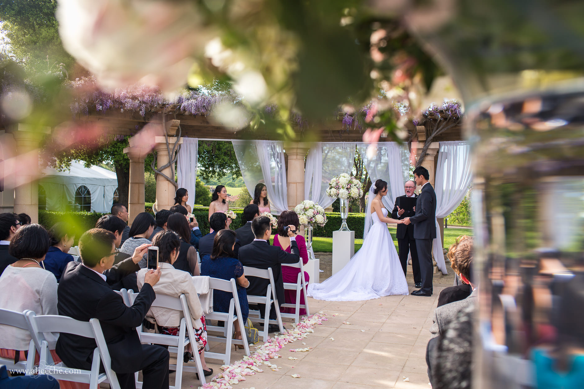 beautiful pleasanton wedding ruby hill golf course ceremony under the wisteria-1