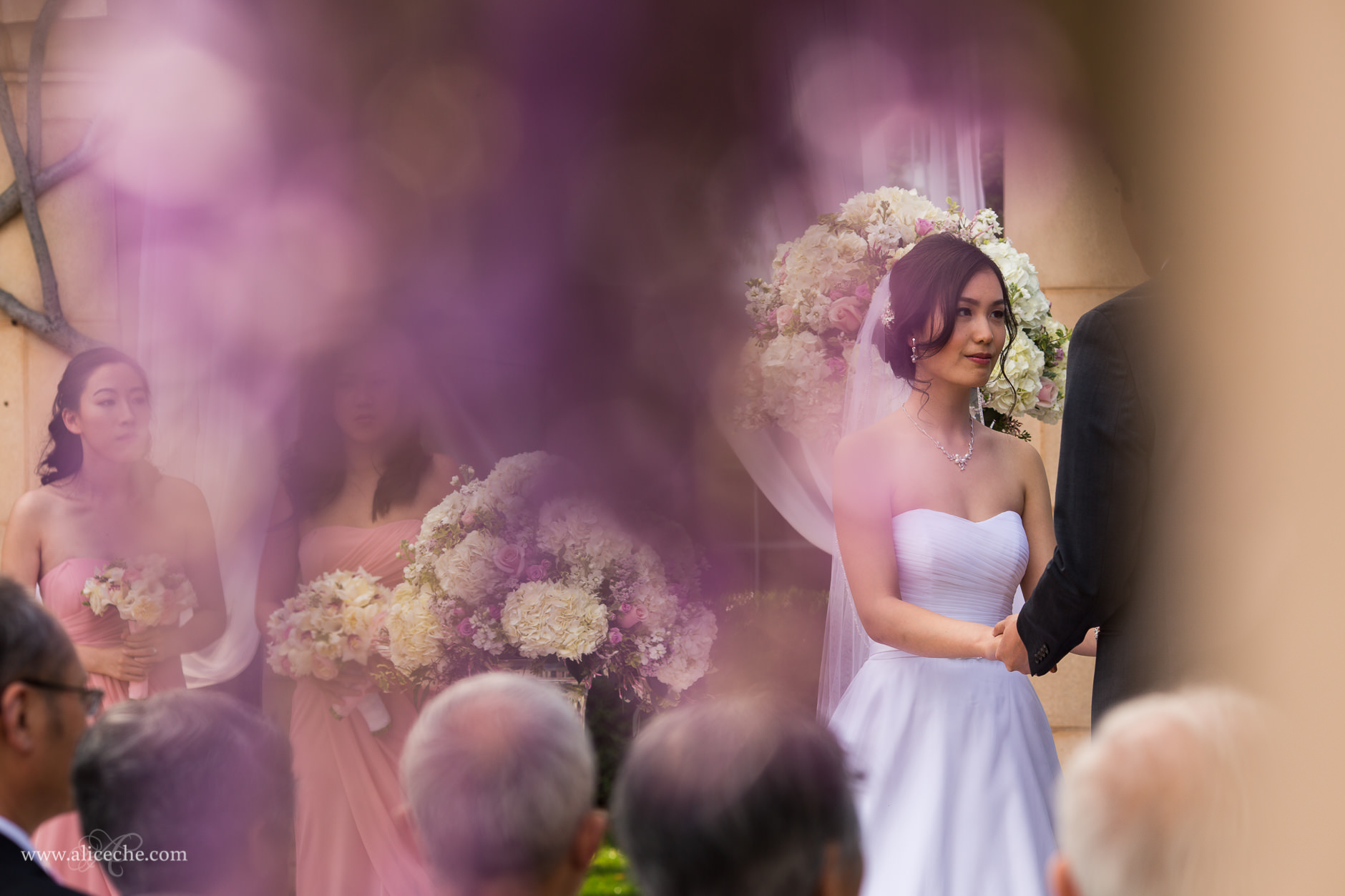 beautiful pleasanton wedding ruby hill golf course ceremony under the wisteria-4