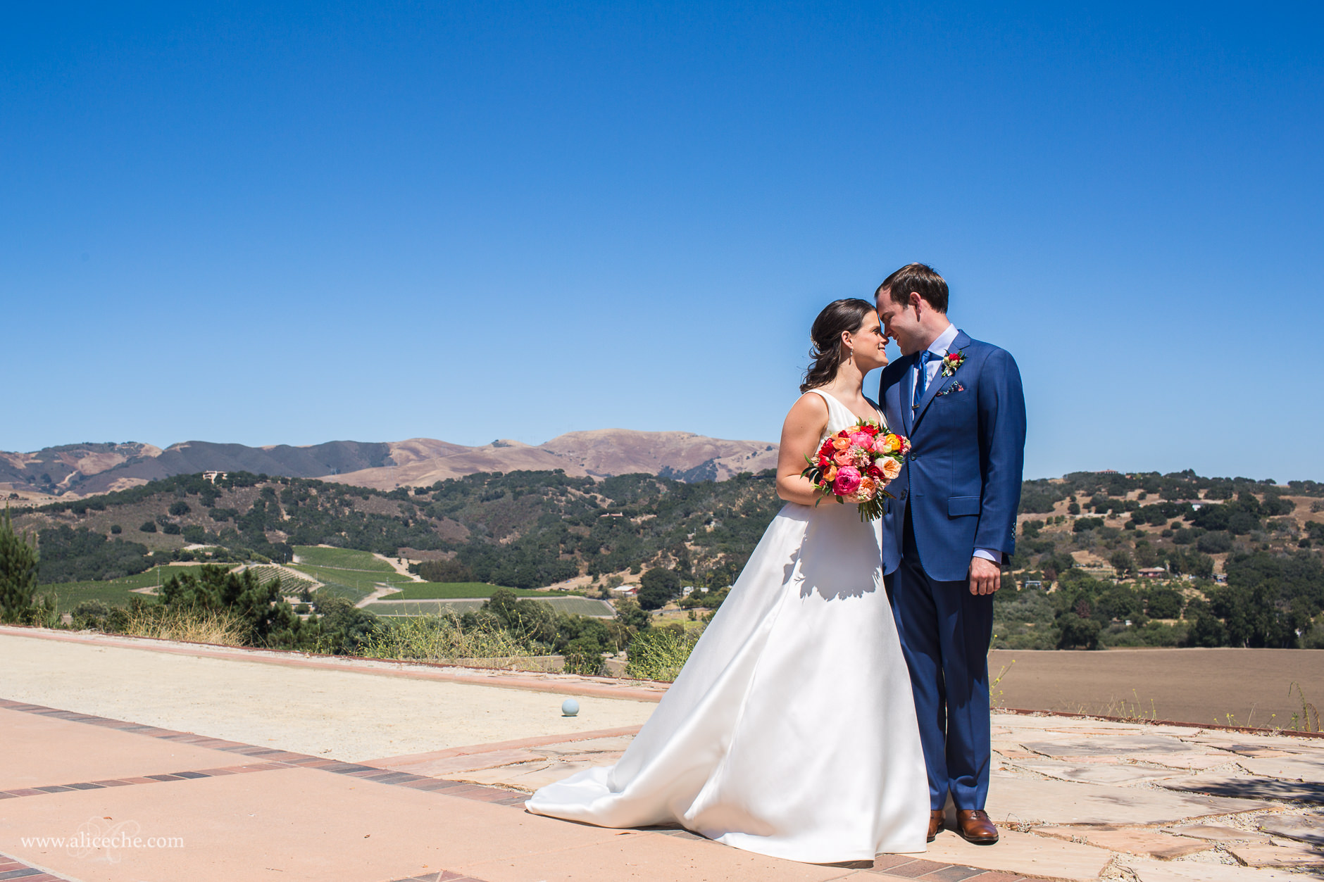 Casitas Estate Wedding Photos Bride and Groom in front of Wine Country