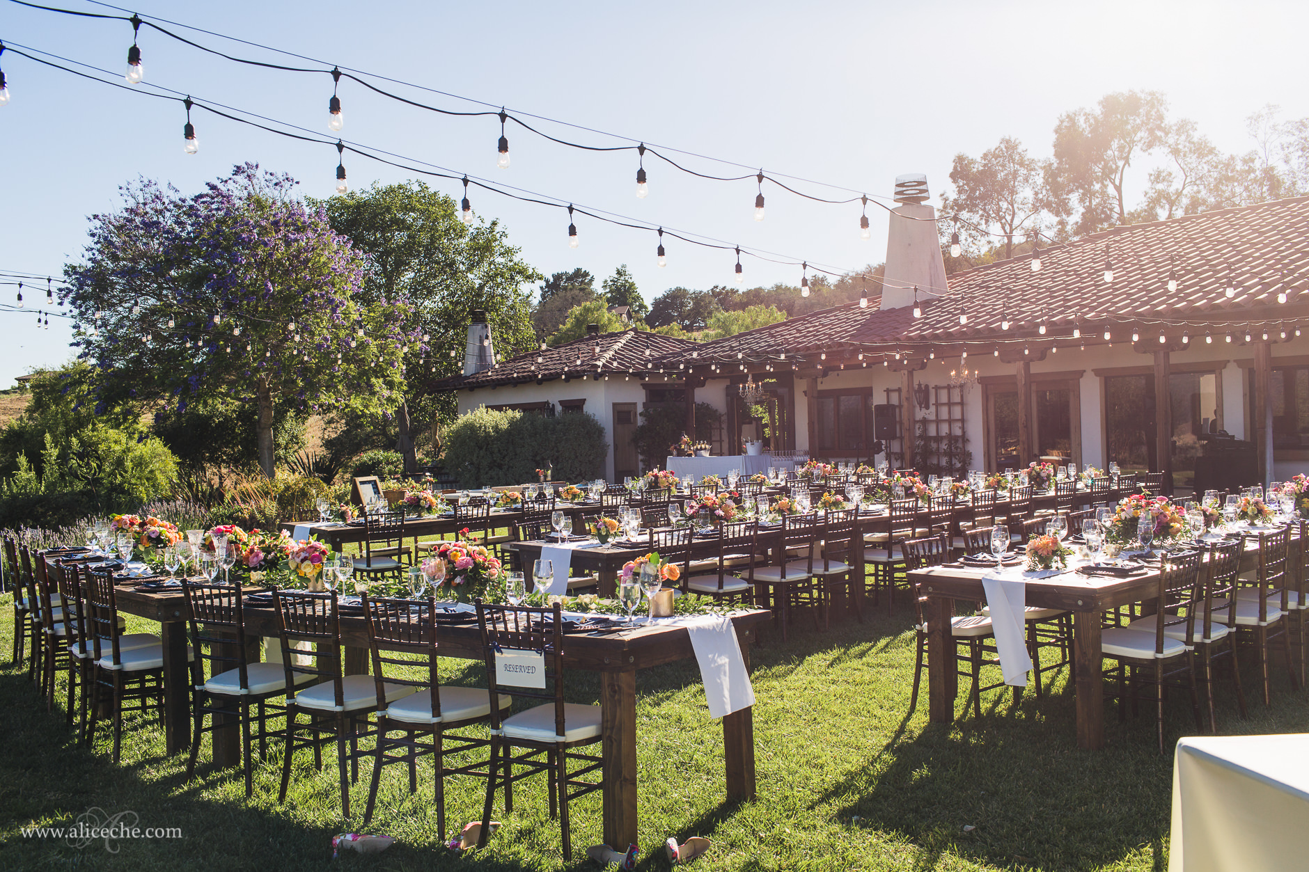 Casitas Estate Wedding Photos Reception Setting with Farm Tables and String Lights