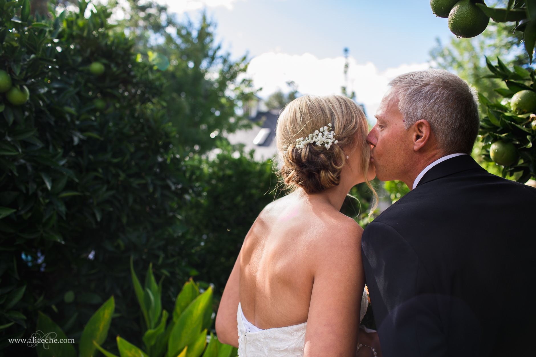 Loomis Flower Farm Wedding Bride Kissing Father