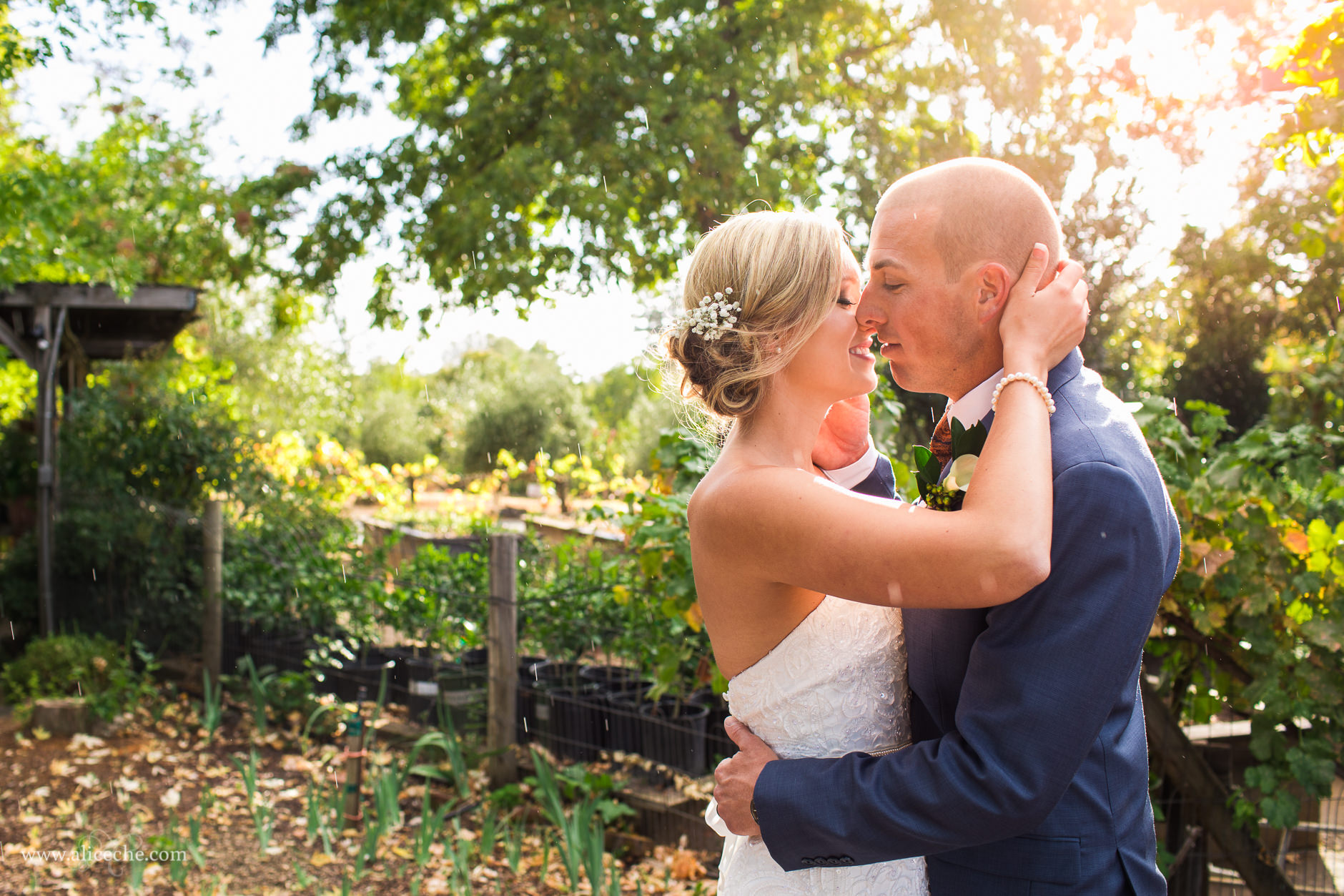 Loomis Flower Farm Wedding Bride and Groom Kissing