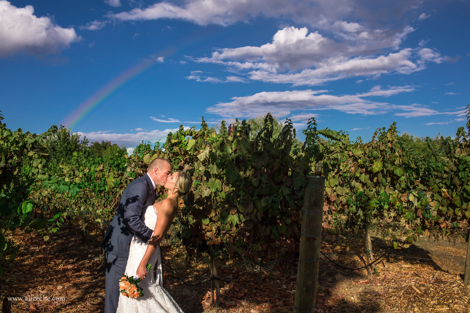 Loomis Flower Farm Wedding San Francisco Bay Area Photographer Just Married Couple Kissing Under Rainbow
