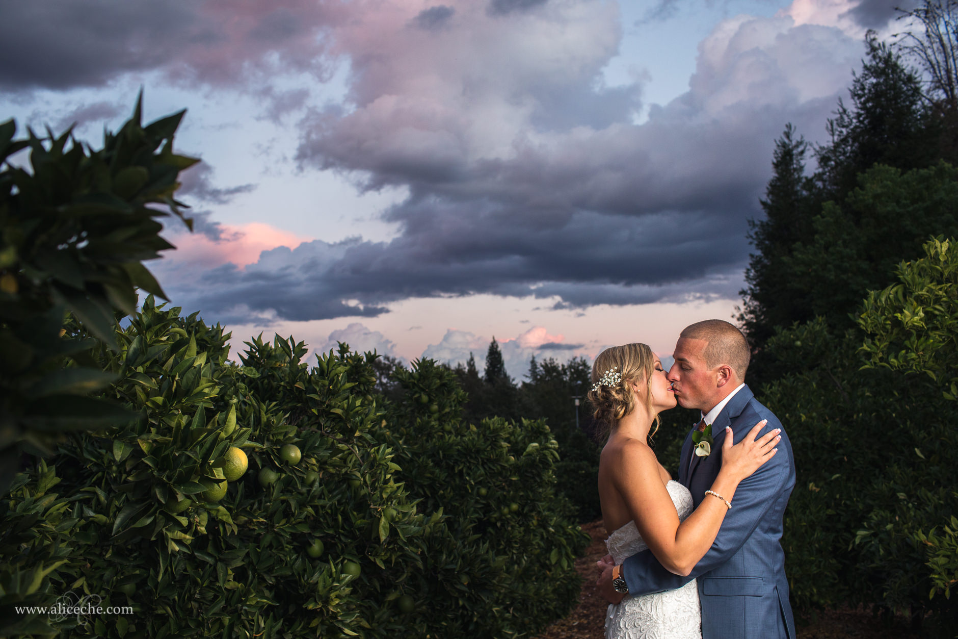 Loomis Flower Farm Wedding San Francisco Bay Area Photographer Kissing Couple In Front of Sunset Storm Clouds