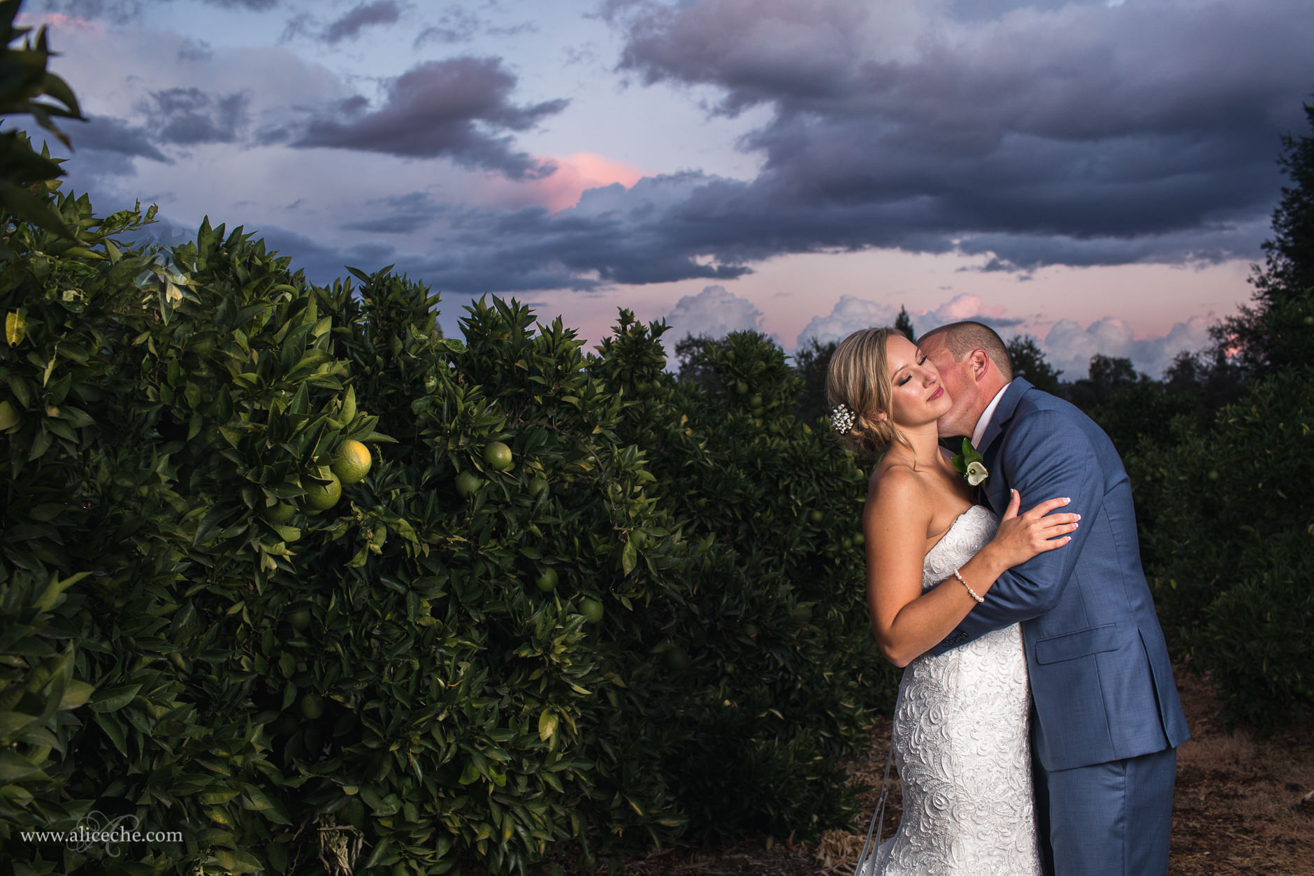 Loomis Flower Farm Wedding Bride and Groom Kissing at Sunset