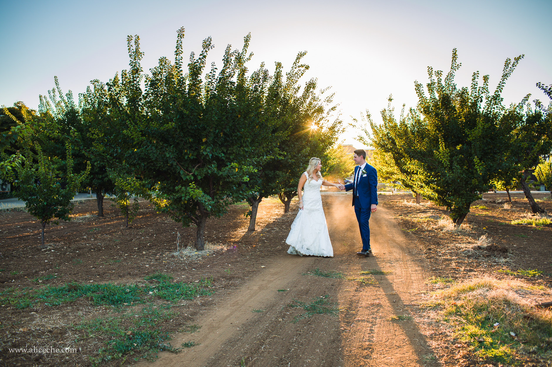 Los Altos History Museum Wedding Bride and Groom in the Orchard at Sunset
