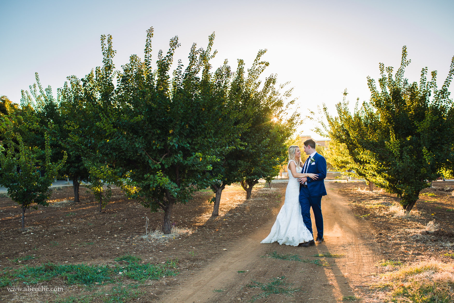 Los Altos History Museum Wedding Bride and Groom at Sunset in Orchard