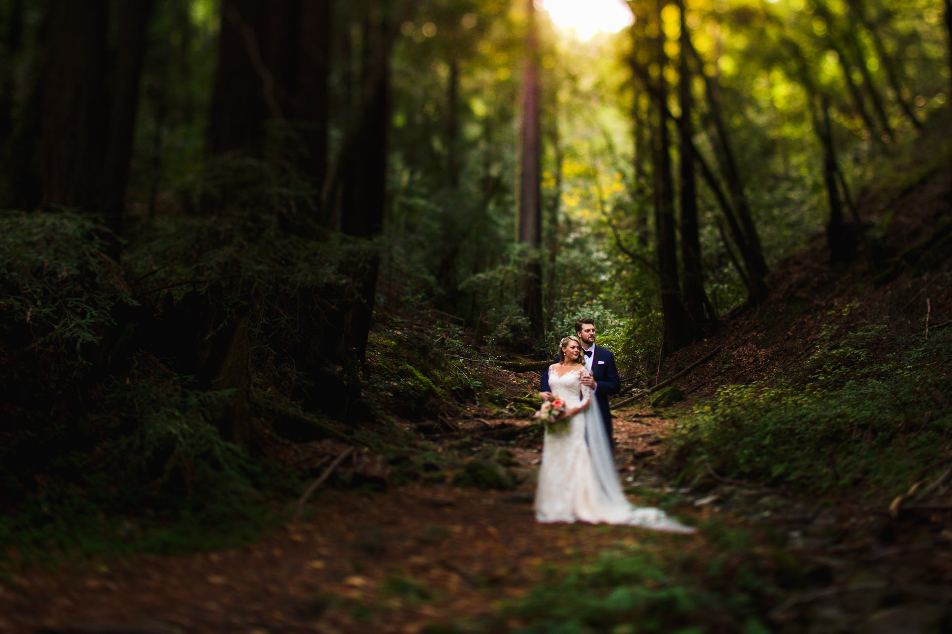 Saratoga Springs Wedding California San Francisco Photographer Bride and Groom in the Redwoods with Tilt Shift Lens