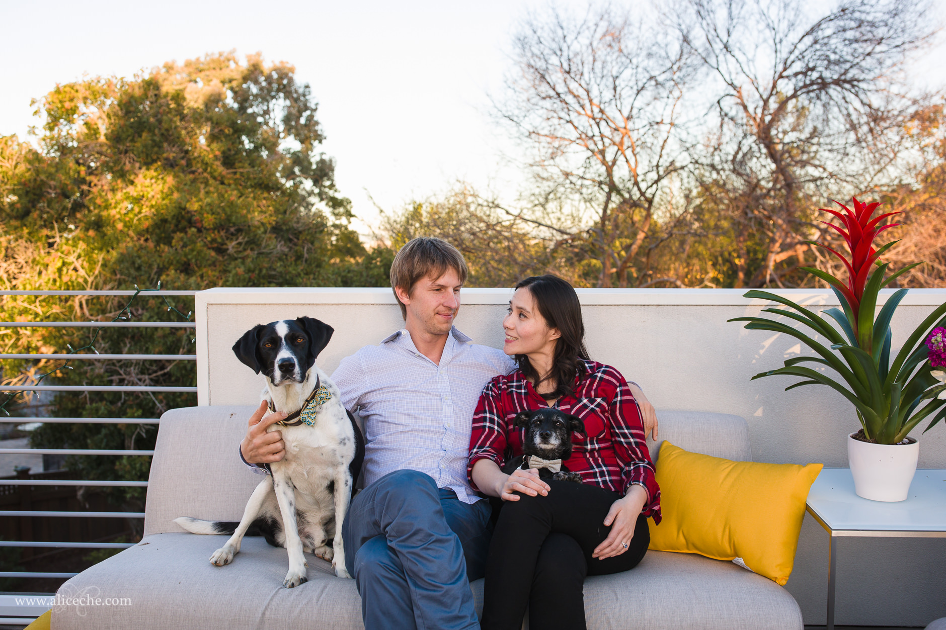 Redwood City In Home Engagement Session Couple on Balcony with Dogs