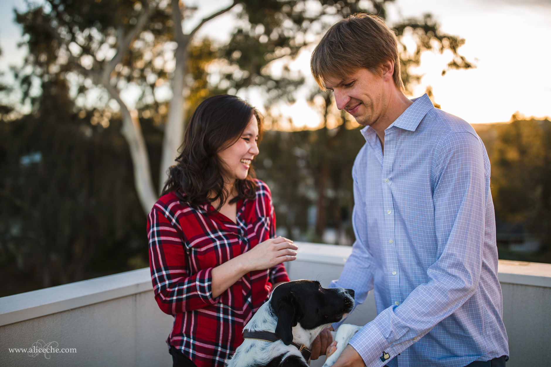 Redwood City In Home Engagement Session with Dogs Couple laughing with their dog