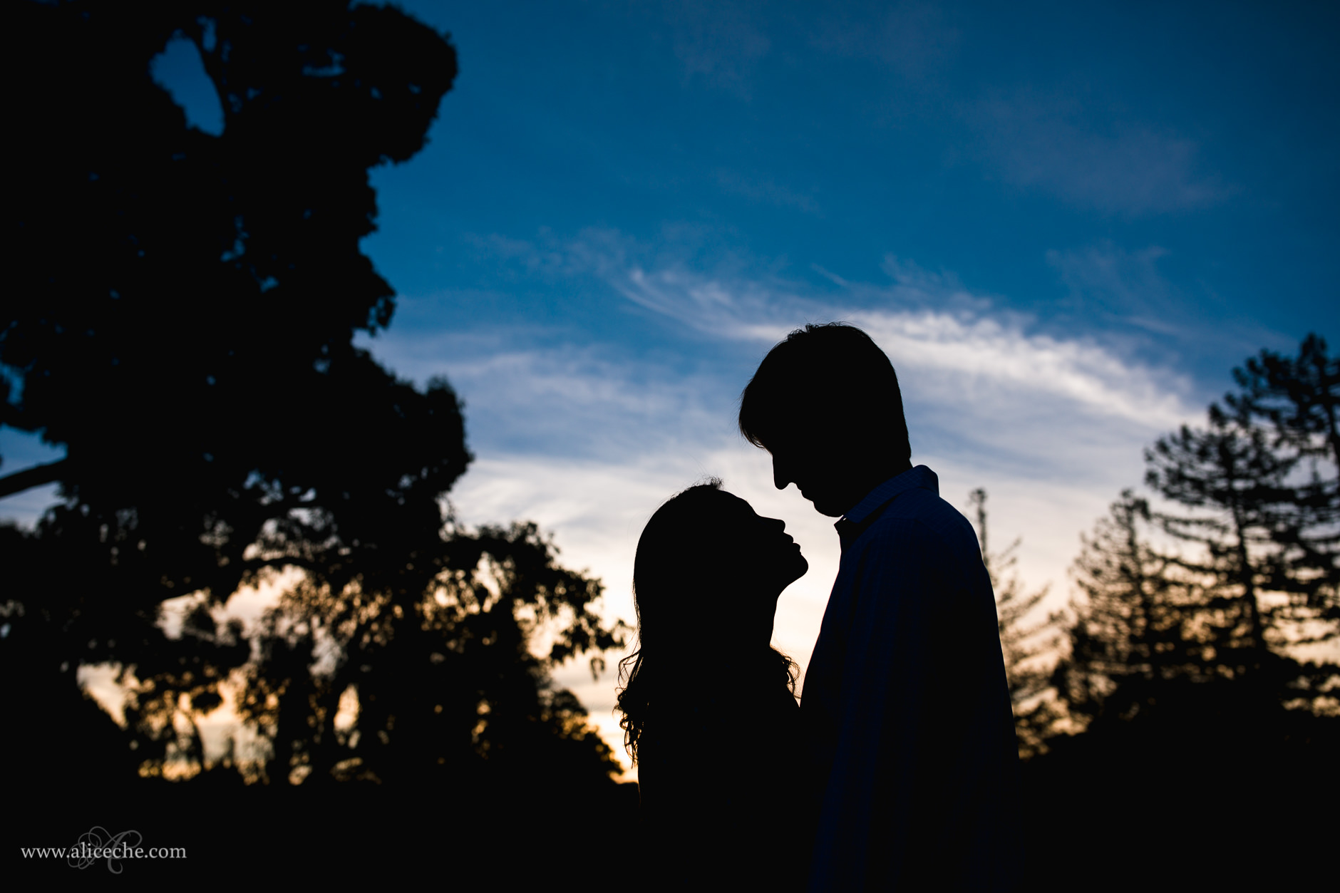 Redwood City In Home Engagement Session Couple Silhouette Among Trees