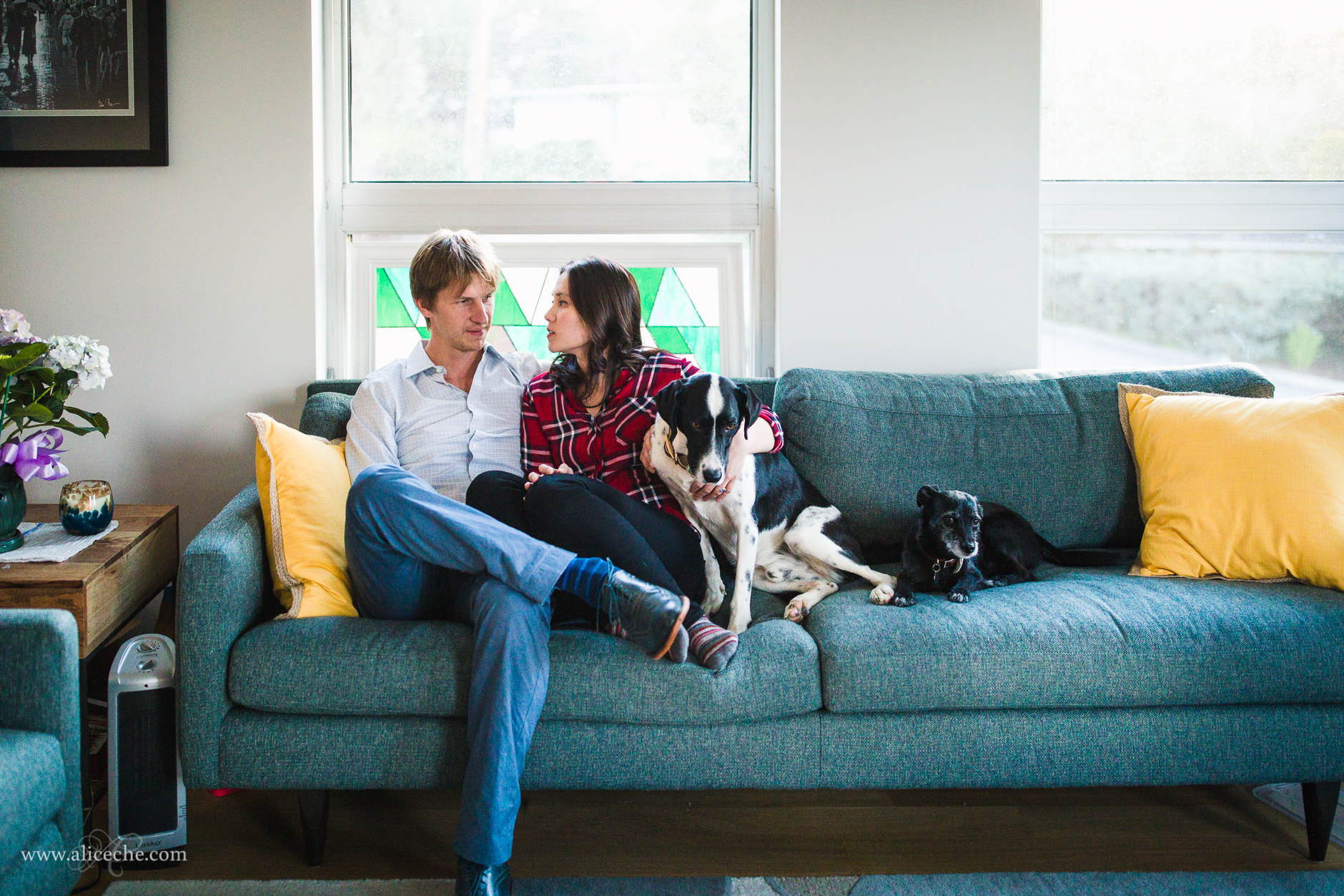 Redwood City In Home Engagement Session with Dogs Couple on Teal Couch with Yellow Pillows
