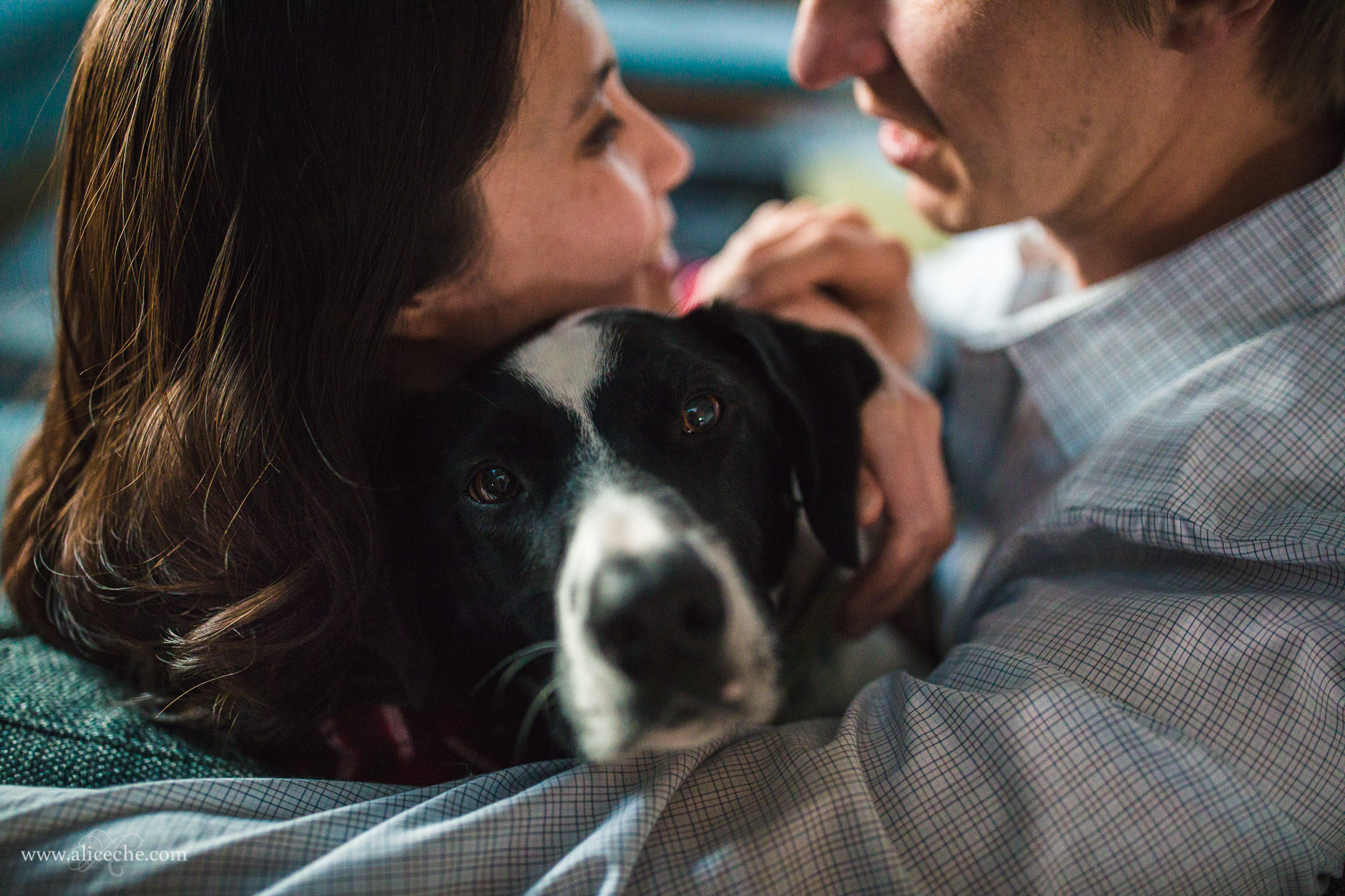 Redwood City In Home Engagement Session with Dogs