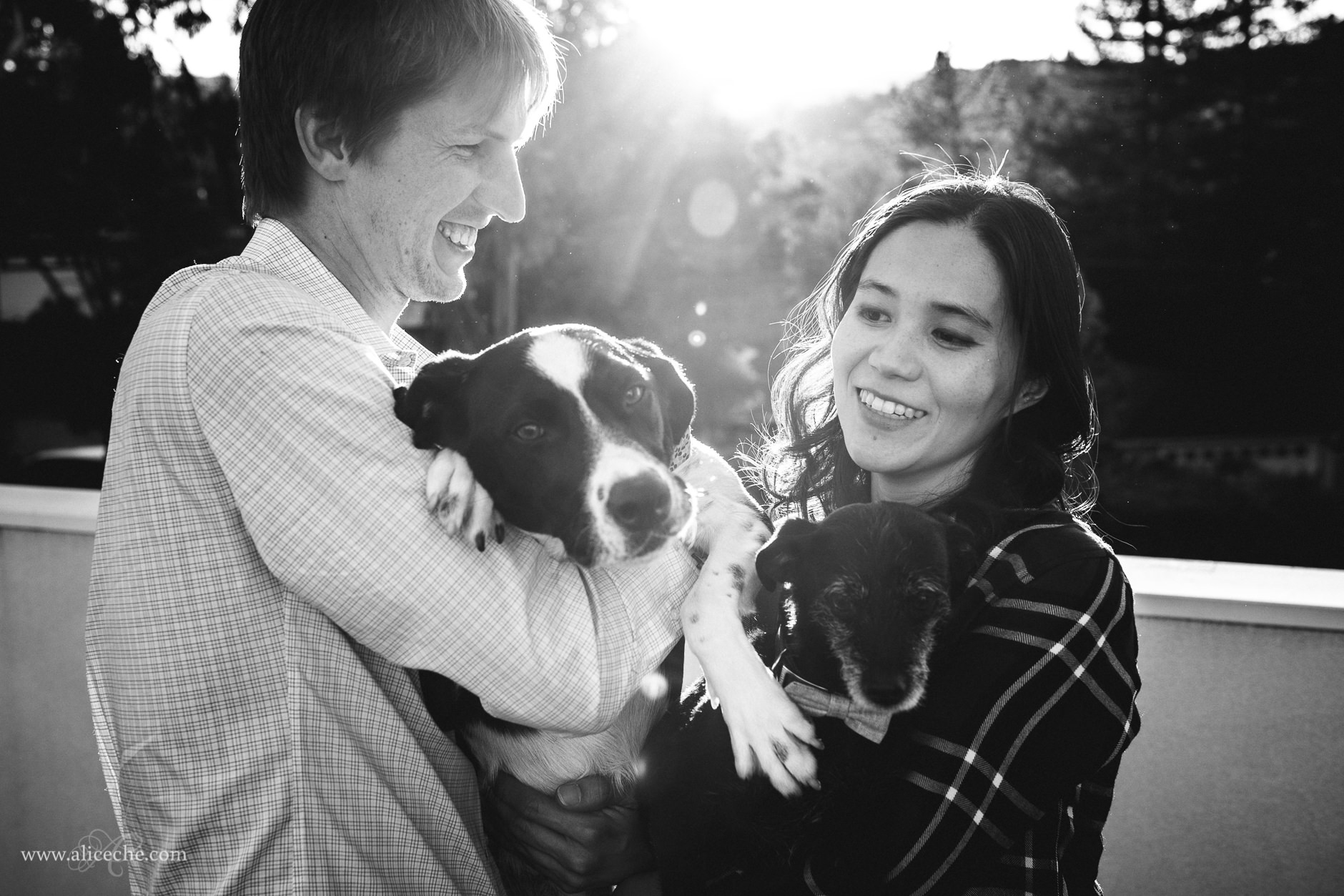 Redwood City In Home Engagement Session with Dogs Couple Holding Dogs in Arms in Golden Light