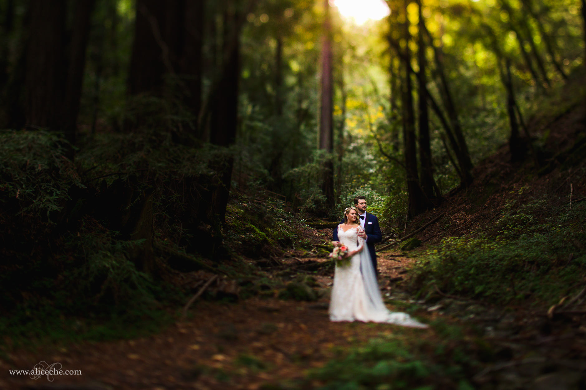 San Francisco Wedding Photographer Saratoga Springs Wedding Couple in Redwoods