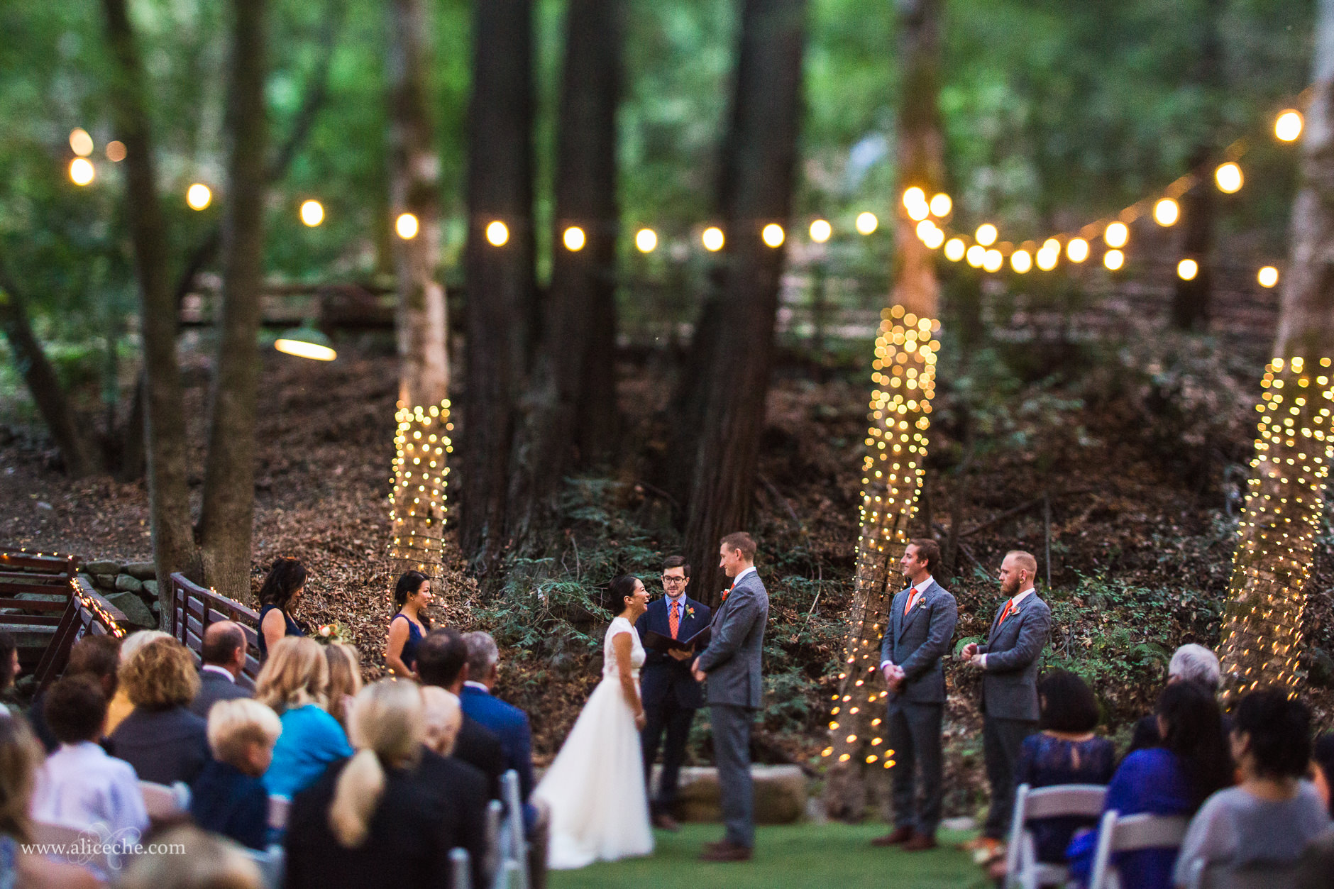 Magical Redwood Forest Wedding Ceremony at Saratoga Springs