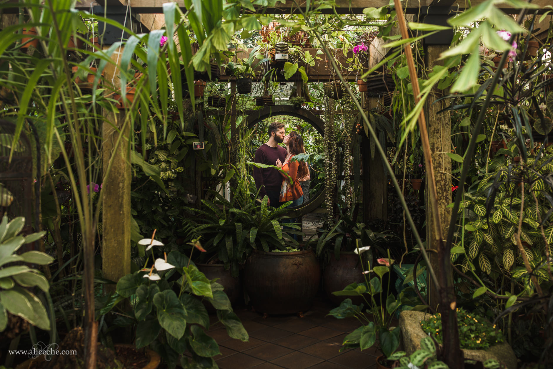 San Francisco Conservatory of Flowers engagement session