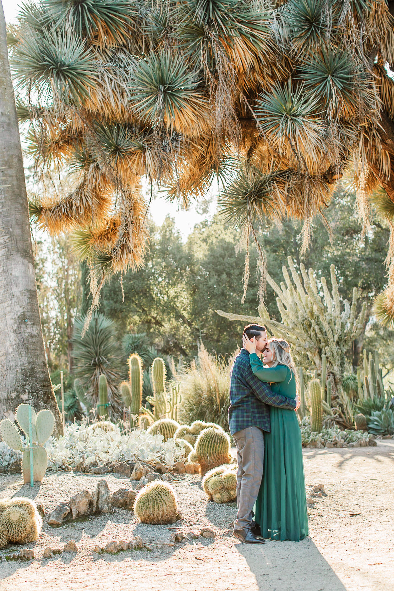 Pullback shot of man kissing fiance on forehead during their engagement session at the Arizona Cactus Garden