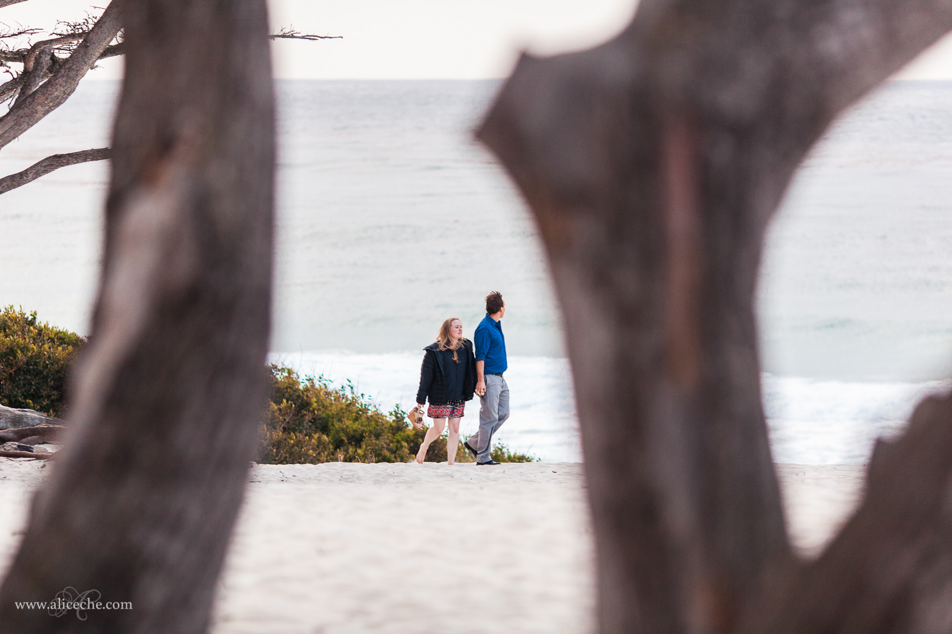 carmel beach proposal san francisco bay area photographer couple walking to proposal
