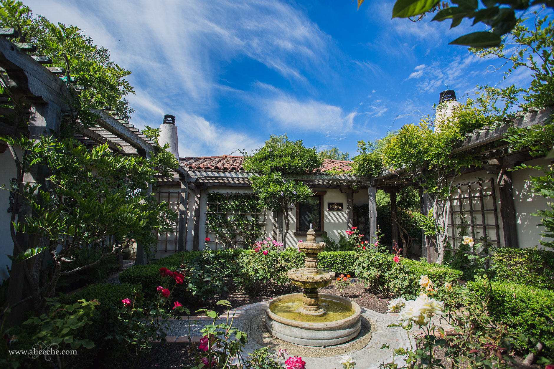 The Casitas Estate San Luis Obispo Wedding Venue Lush Rose Garden