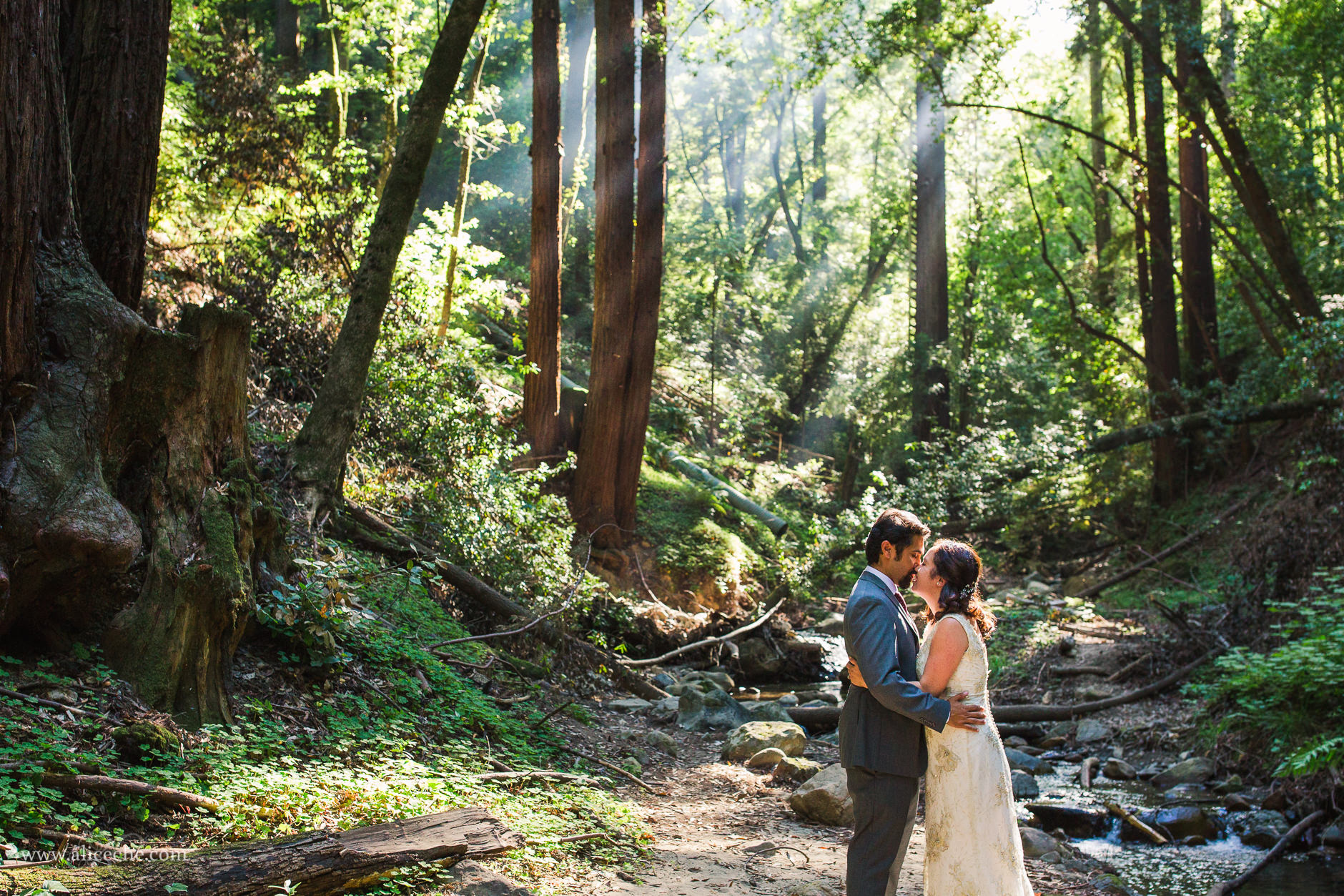 Intimate Cathedral Grove Wedding at Saratoga Springs Couple Kissing under light rays