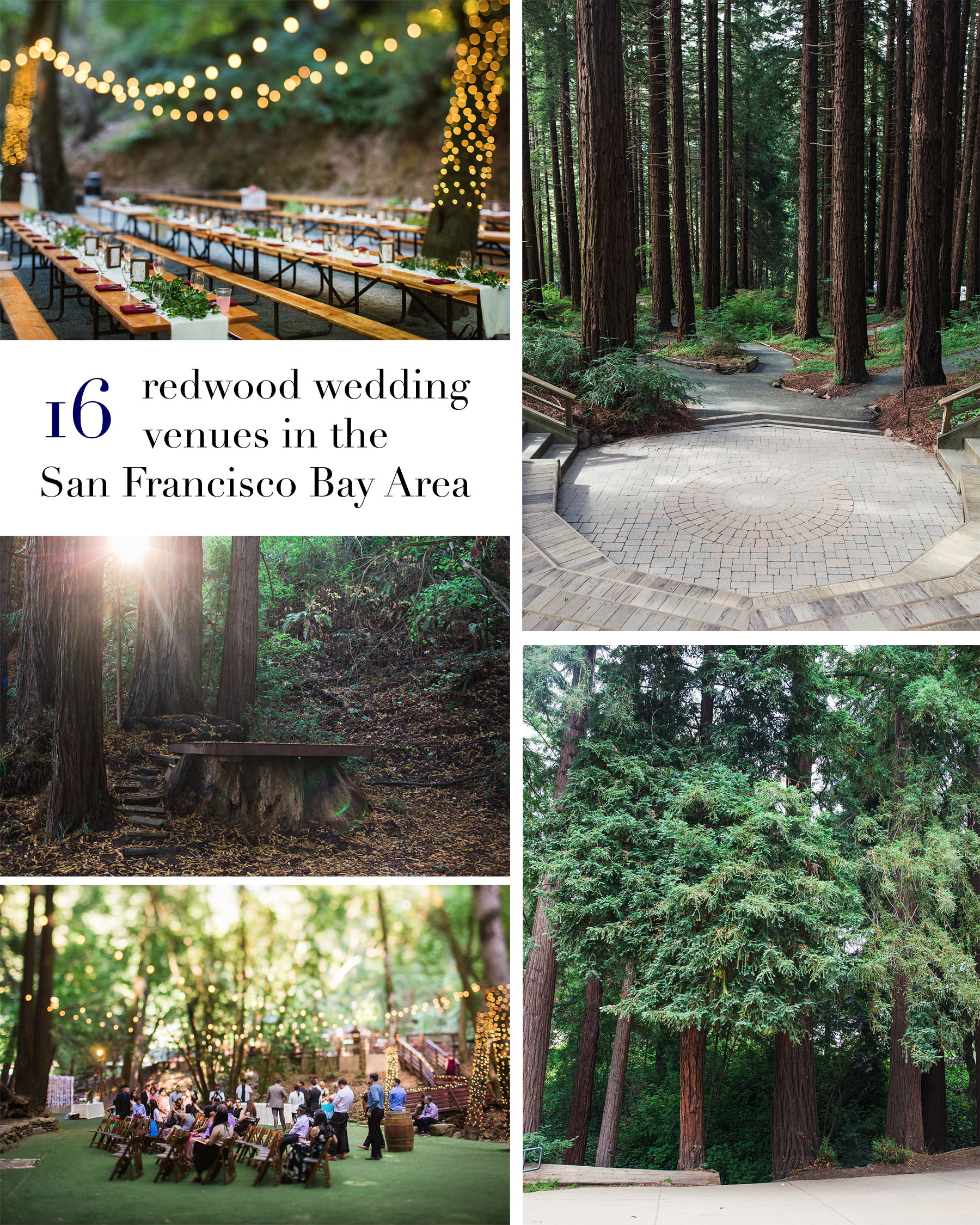 16 wedding venues with redwoods in the San Francisco Bay Area