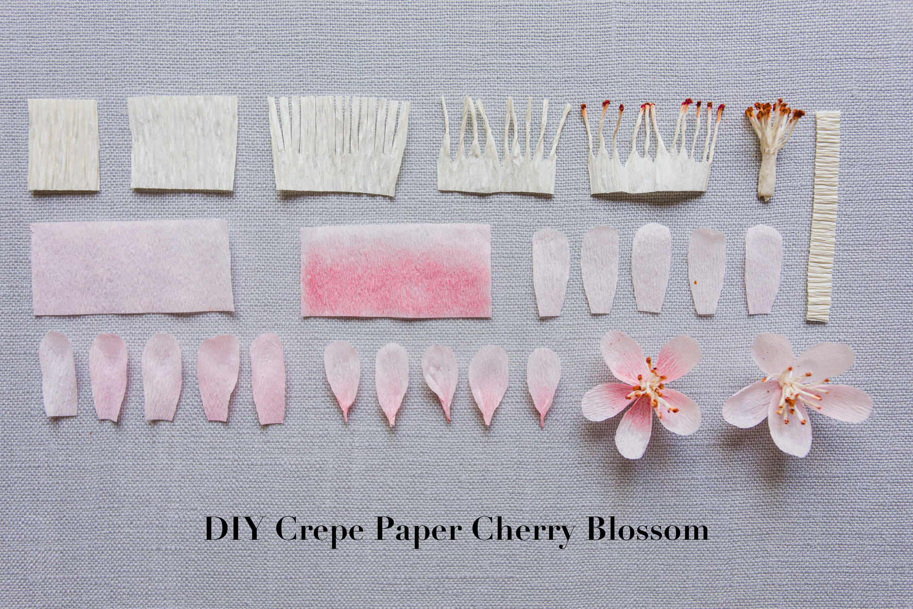 DIY Crepe Paper Cherry Blossom Tutorial Steps How to