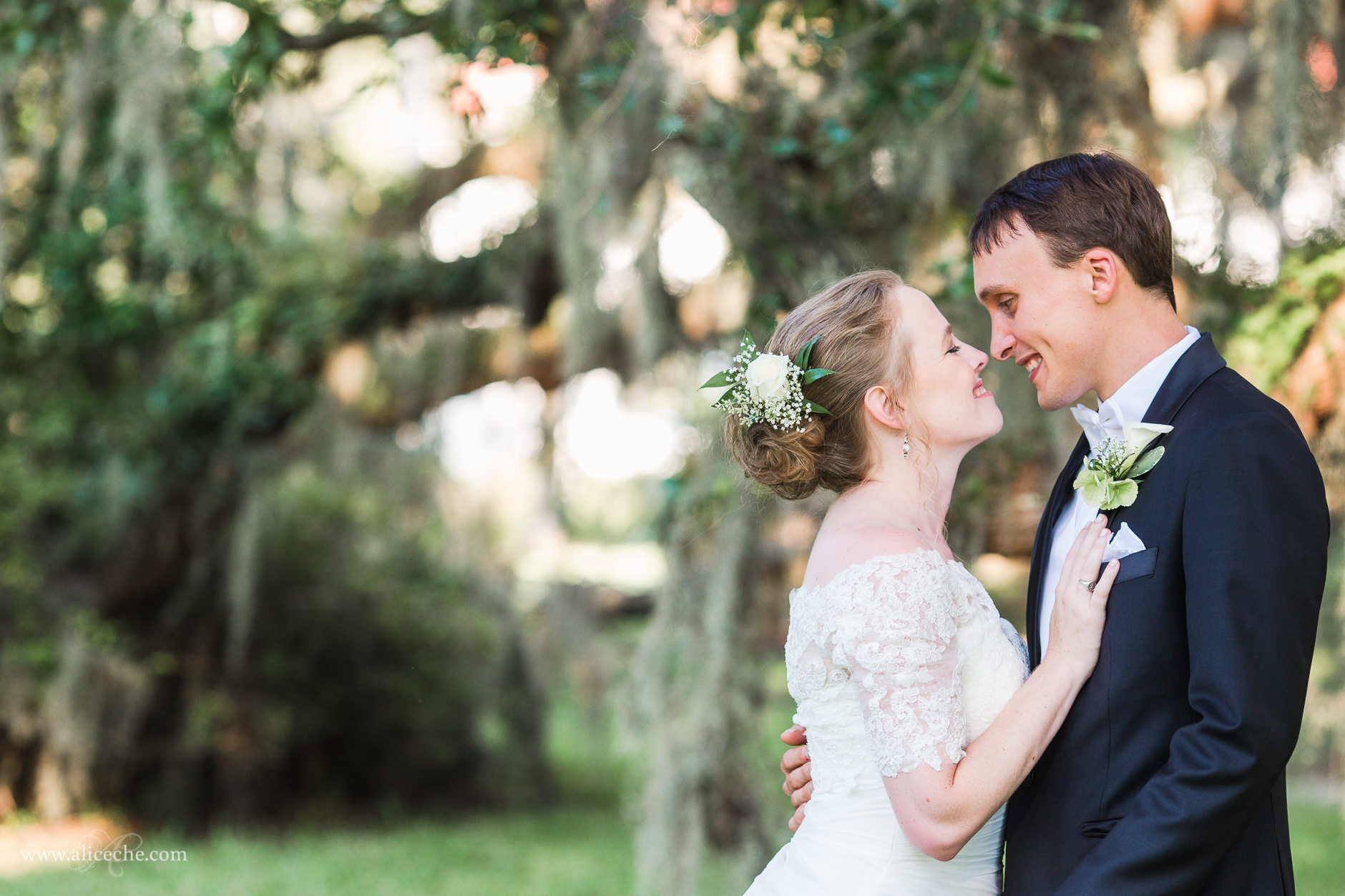 Bride and Groom under the Spanish Moss Covered Oak Trees on Jekyll Island