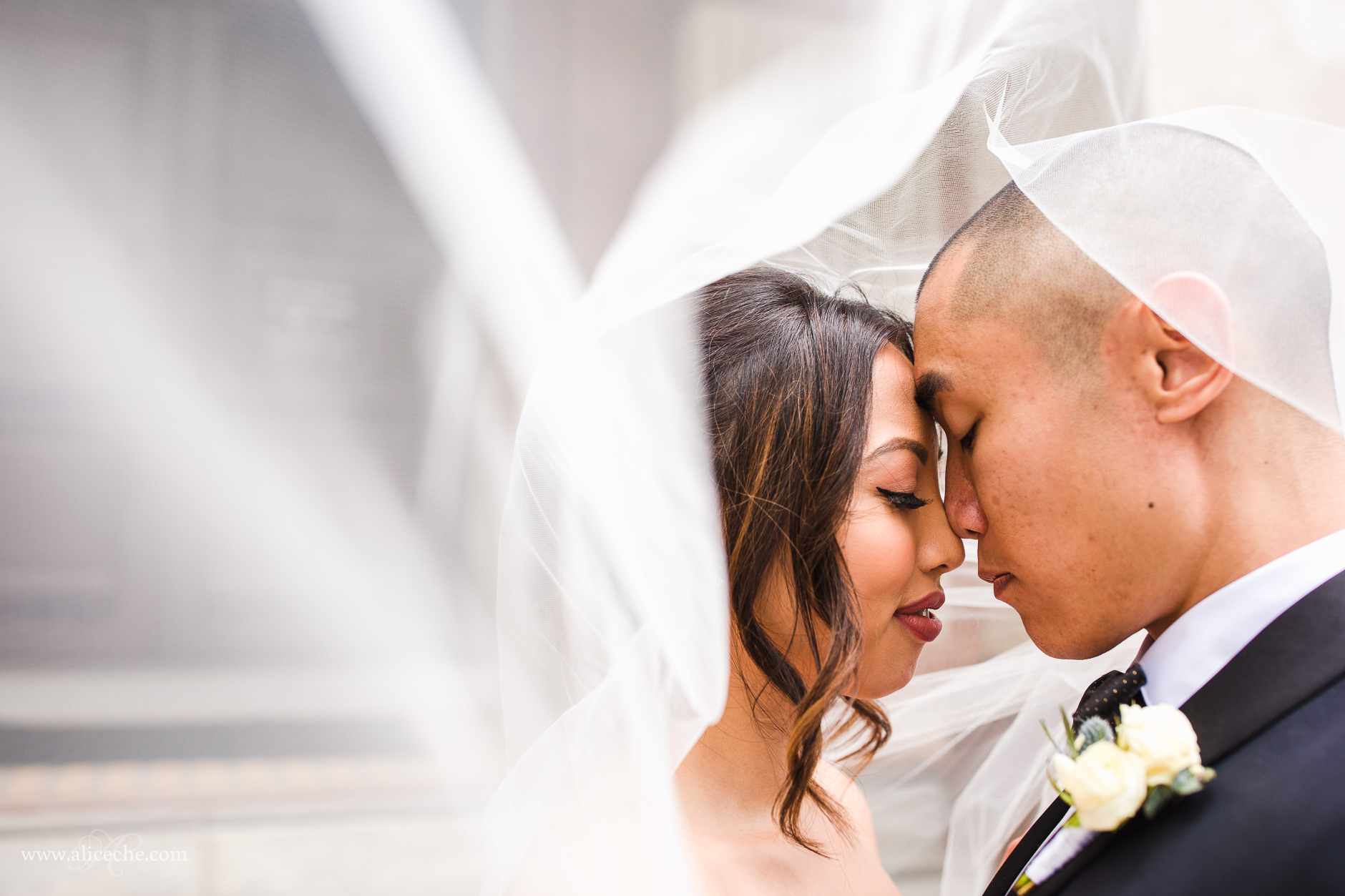 multicultural Sacramento wedding Bride and Groom portrait under veil