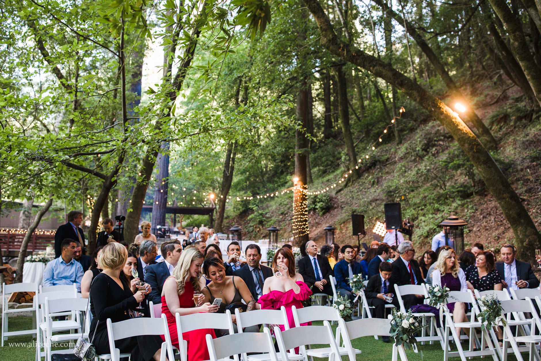 Saratoga Springs Redwood Grove Wedding Ceremony