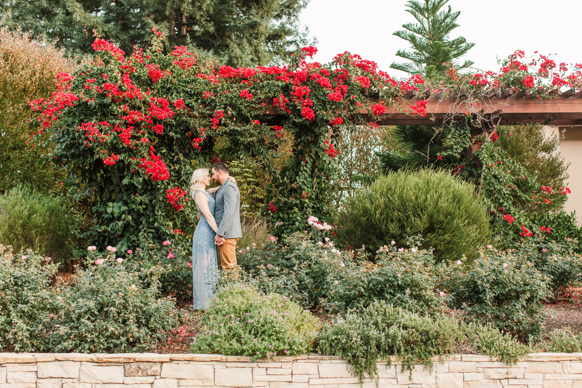 Soquel Vineyards engagement session bride and groom in bougainvillea